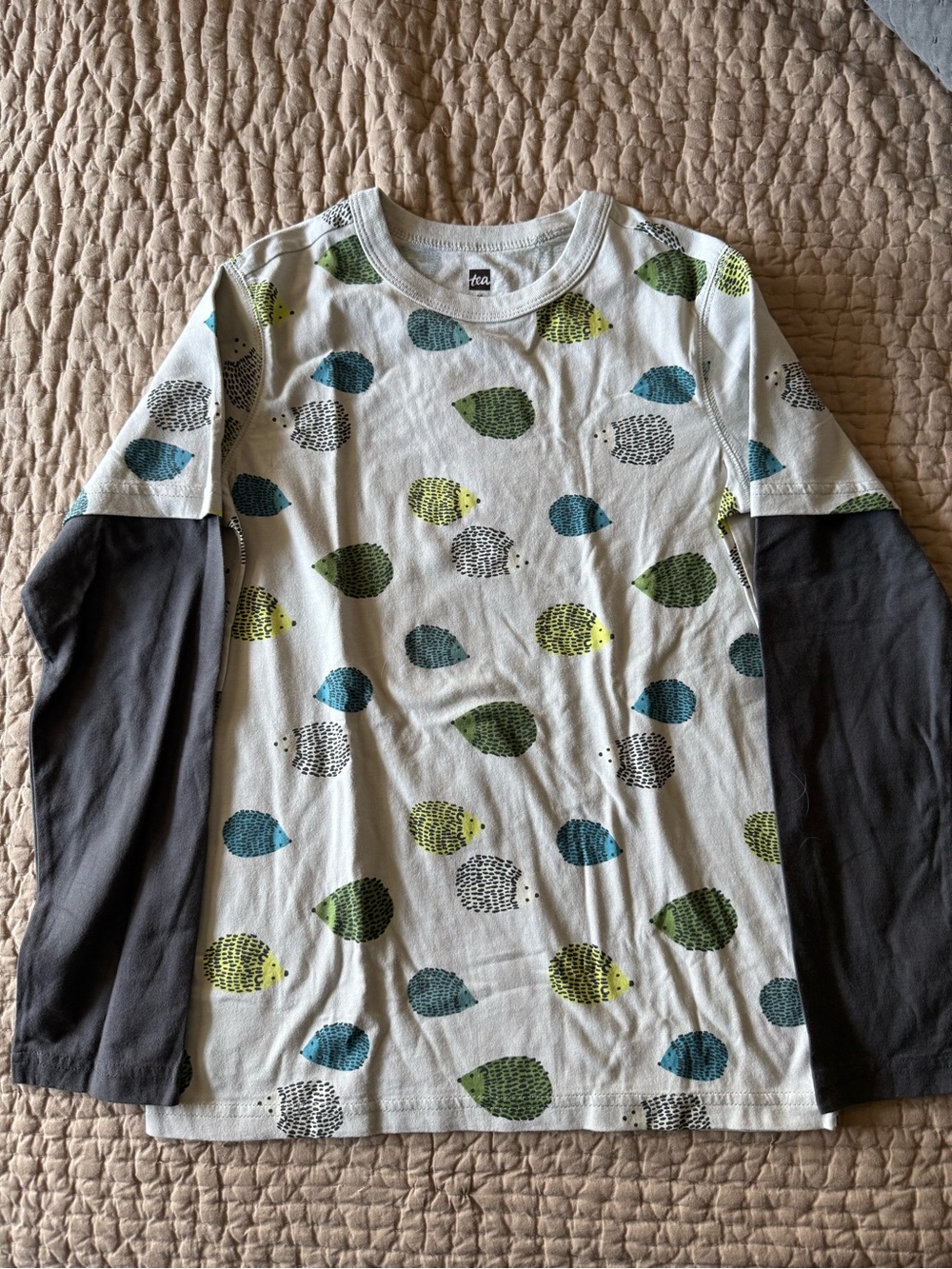 Tea Collection Boys' White Layered-Look Grey Top w/ Blue & Green Hedgehog Print